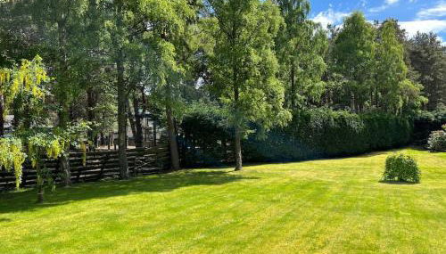 Ballater Bungalow - 4 bed - Beautiful Garden - Foto 3, Garden, Garden view