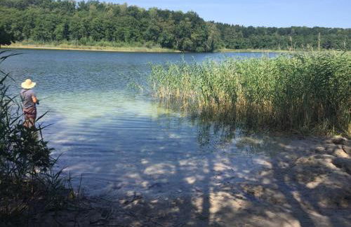 Gemütliche, kleine Ferienwohnung im Küstenland - Foto 24