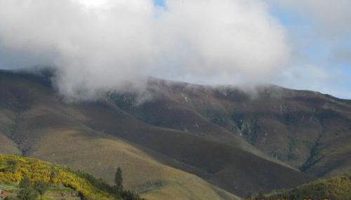 Casa da Sobreira - Foto 2