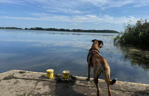 Ferienhaus Diana mit Sauna und Whirlpool Polnische Ostsee - Photo 69