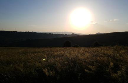 Antonówka - Foto 18