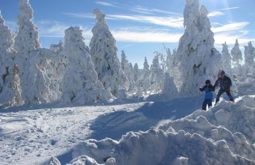 Apartments - Lehmanns Ferienwohnungen - Foto 37