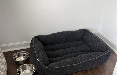 Walnut St, Charming, 3bed, 2bath - Photo 39