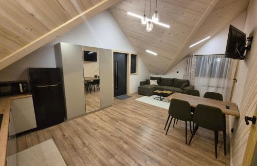 Apartament z prywatną wanną z hydromasażem - U Parów - Foto 77