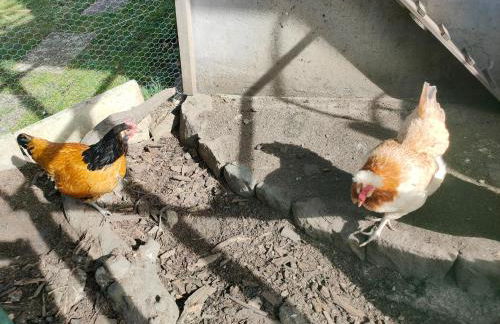 zentrale & ruhige Ferienwohnung - Foto 25