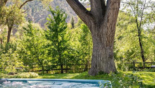 Million Dollar Creekside Treehouse Hottub Rafting Hiking Fishing and Mins to Glenwood and Hotsprings - Photo 2