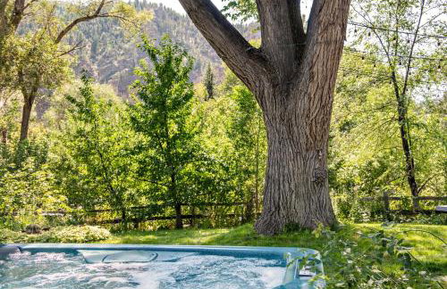 Million Dollar Creekside Treehouse Hottub Rafting Hiking Fishing and Mins to Glenwood and Hotsprings - Foto 2