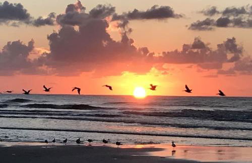 Centennial Coast Cottage - with Heated pool - Foto 9