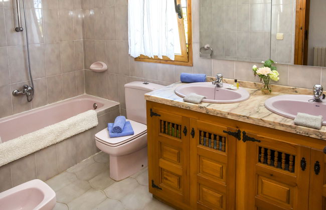 Mirlo Canta - Foto 18