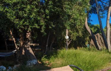 Casa Martí - Foto 8