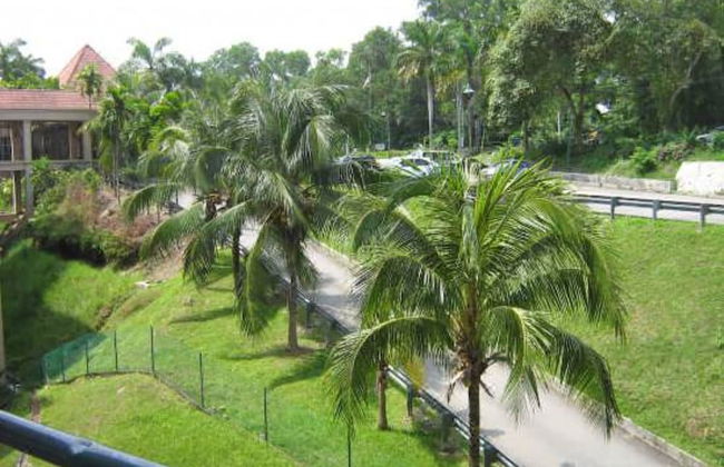 Paradise Lagoon Apartment - Foto 27