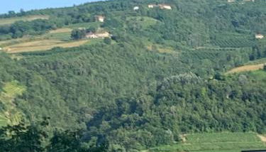 La Casa di Mia - Foto 2