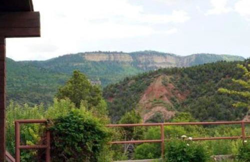 Charming Canyon Cabin - Foto 26