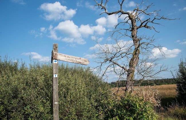 Charming Cottage Near Lake - Photo 39