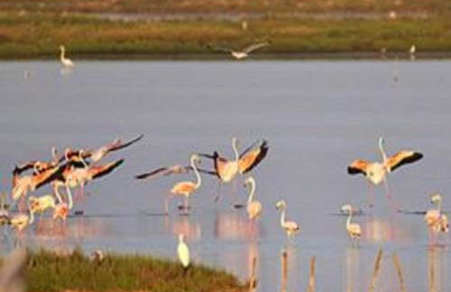 Characteristic Apartment in Codigoro With Pool - Foto 68