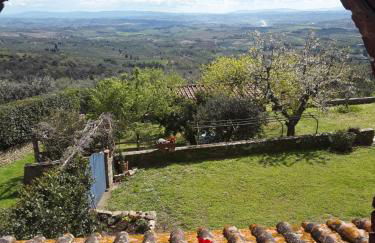 Poderino La Noce - Foto 35