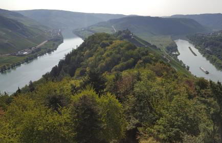 Ferienwohnung Sternenwald - Foto 45