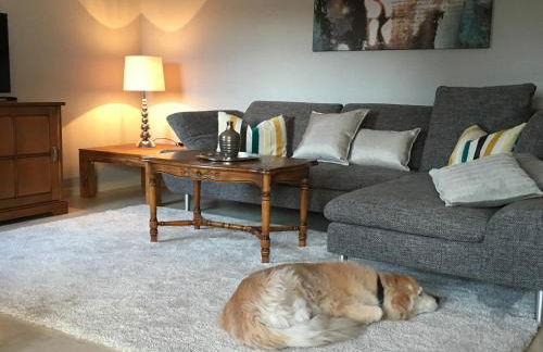 Moselschön Das Ferienhaus - Foto 58