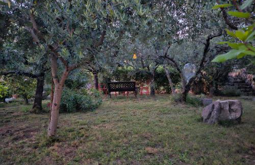 Apartmani Purić - Foto 29