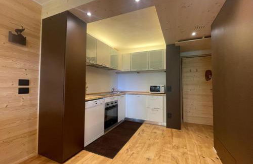 Stella Alpina San Martino di Castrozza vista Pale - Foto 5