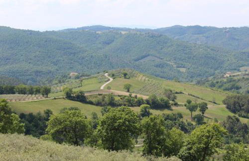 La Corte dei Banchetti - Foto 33