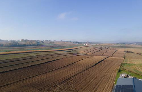 PrzyStań S7 - Foto 44