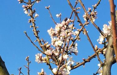 Haus am Fürstenweg - Foto 16