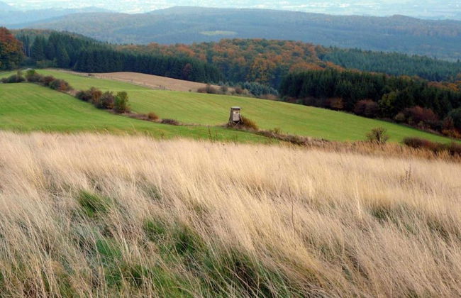 Relaxa at a Luxurious Villa in Bad Pyrmont - Foto 75