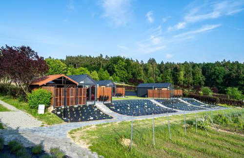 Domki Winne Tarasy - Foto 24