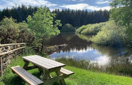 The Granary at Pentregaer Ucha, tennis court & lake. - Foto 9