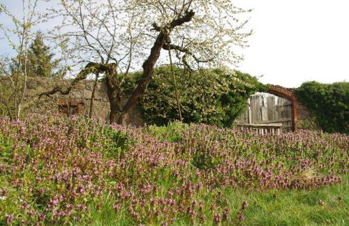 Gutshaus Buberow - Haupthaus - für Seminare & Gruppen - Foto 8