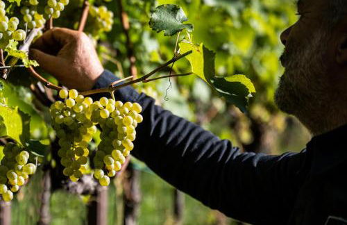 Grottnerhof - Foto 3