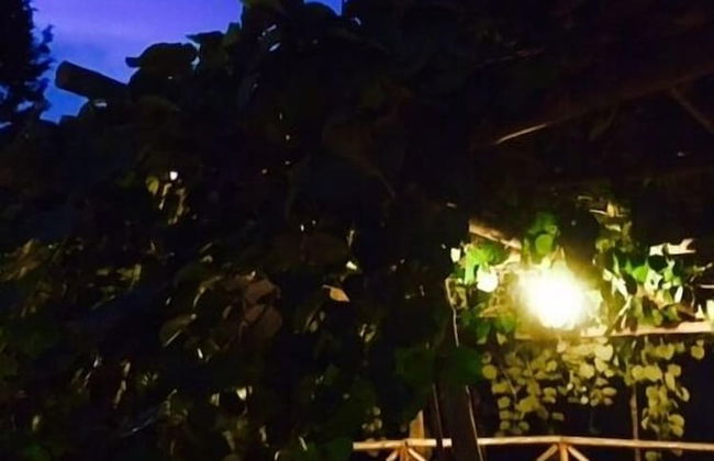 Agriturismo Mare e Monti - Foto 80