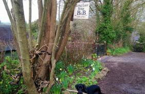 Laugharne Cottage Golwg Harddwch - Photo 24