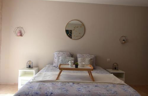 Vigne et cigale - Foto 19