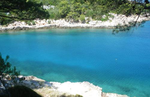 Apartments Basina - Foto 52