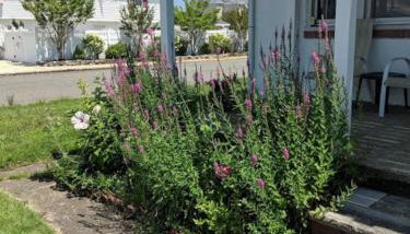 Ocean Breeze Retreat - Foto 4