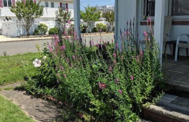 Ocean Breeze Retreat - Foto 4