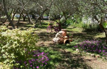 Olive Garden - Foto 31