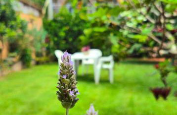 Suítes Colibri da Serra - Piscina & Conforto em Itaipava RJ - Foto 5
