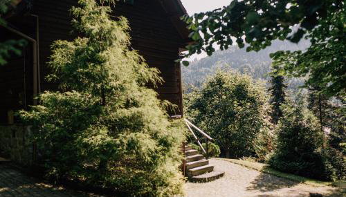 Brenna Leśnica - Foto 5, Garden, Garden view