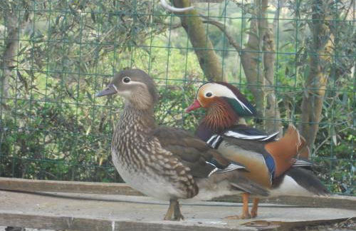 Agriturismo Marongiu - Foto 20