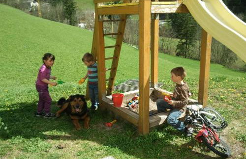 Apartments Dolomites "Mantingerhof" - Photo 31