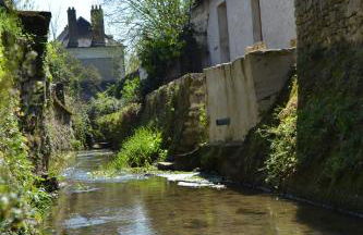 Gîte de charme proche du Zoo Beauval et Châteaux - Photo 49