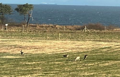 Villa Ostseewelle - Photo 3