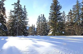 Bel appart pour 4/6 pers plein SUD sans vis a vis - Foto 17