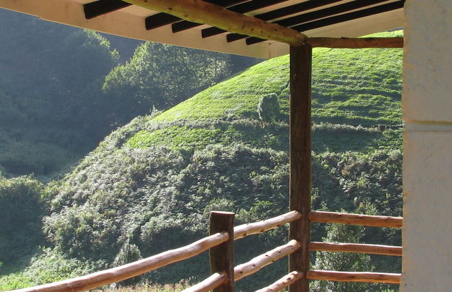 Kimakia Tea Cottages - Foto 15