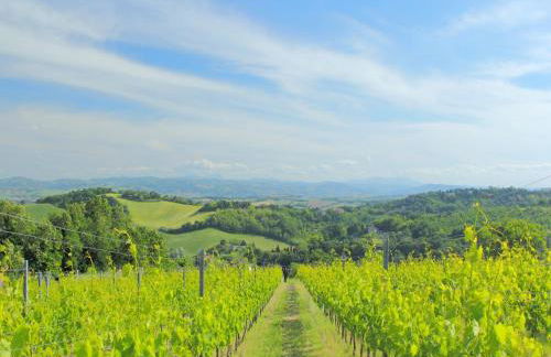 Sunny Stay in Tavullia Hills - Foto 58