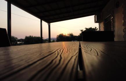 O κήπος της Εδέμ / Garden of Eden - Foto 37