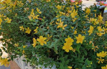 Orchards in Orpington - Foto 33